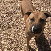 Thumbnail photo of Sissy #2