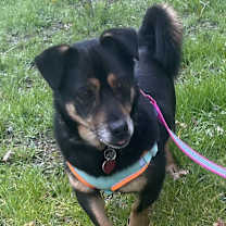 Thumbnail photo of Marco #4