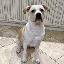 Thumbnail photo of Ranger #2