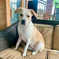 Thumbnail photo of Ranger #3