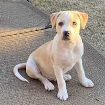 Thumbnail photo of Ranger #4