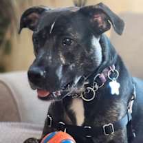 Thumbnail photo of ARCHIE #2