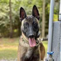 Thumbnail photo of Felon #2