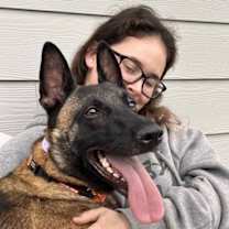 Thumbnail photo of Felon #3