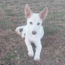 Thumbnail photo of JACOB #2