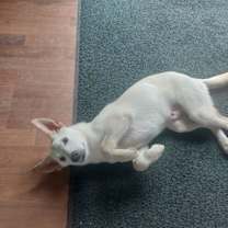 Thumbnail photo of JACOB #4