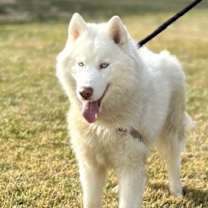 Thumbnail photo of CHAMP #3