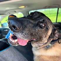 Thumbnail photo of Eva - Located in Oklahoma #1