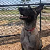 Thumbnail photo of Eva - Located in Oklahoma #2