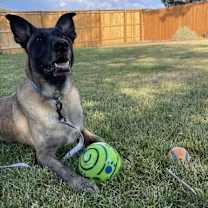 Thumbnail photo of Eva - Located in Oklahoma #3