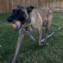 Thumbnail photo of Eva - Located in Oklahoma #4