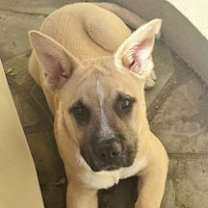 Thumbnail photo of Dancer #1