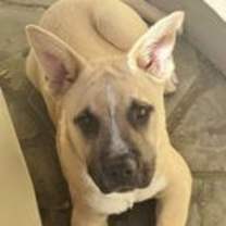 Thumbnail photo of Dancer #2