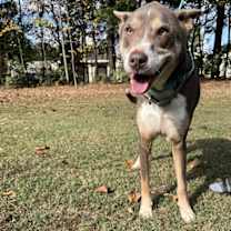 Thumbnail photo of Quincy #2