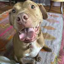 Thumbnail photo of Hank #1