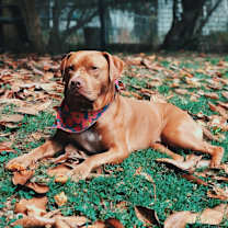 Thumbnail photo of Hank #3