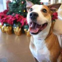 Thumbnail photo of Bones #1