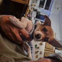 Thumbnail photo of Cash #3