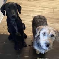 Thumbnail photo of Amber #4