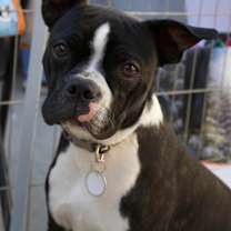 Thumbnail photo of Garry #1