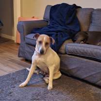 Thumbnail photo of Mandy #2