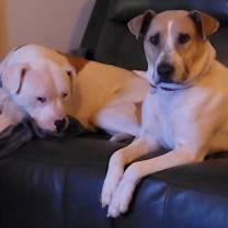 Thumbnail photo of Mandy #3