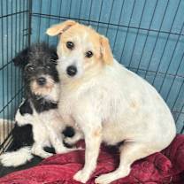 Thumbnail photo of Eve #3