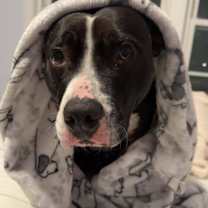 Thumbnail photo of Ophelia #3