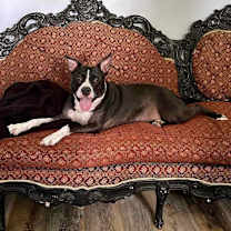 Thumbnail photo of Ophelia #4