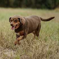 Thumbnail photo of Mister #3