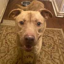 Thumbnail photo of Clark #1