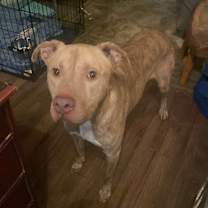 Thumbnail photo of Clark #2