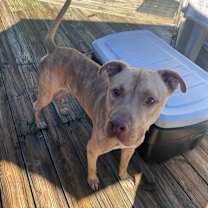 Thumbnail photo of Clark #3