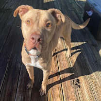 Thumbnail photo of Clark #4