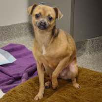 Thumbnail photo of Zia #2