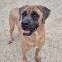 Thumbnail photo of Crew #1