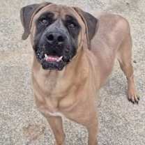 Thumbnail photo of Crew #1