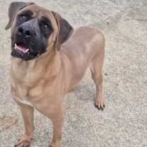 Thumbnail photo of Crew #3