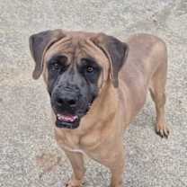 Thumbnail photo of Crew #4