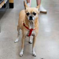 Thumbnail photo of Lola #1