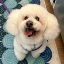 Thumbnail photo of Berry #492 #2