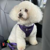 Thumbnail photo of Berry #492 #3