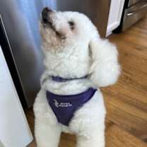 Thumbnail photo of Berry #492 #4