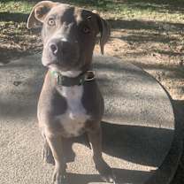 Thumbnail photo of Franklin #4