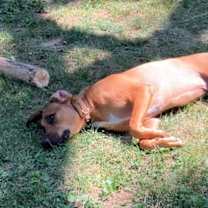 Thumbnail photo of Green Bean #4