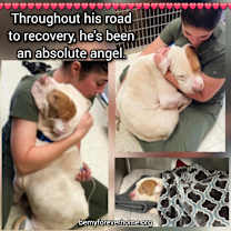 Thumbnail photo of Kash #3