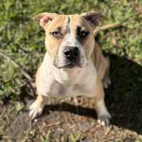 Thumbnail photo of Sundae #3