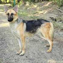 Thumbnail photo of Nani #2