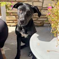 Thumbnail photo of Johnny #1