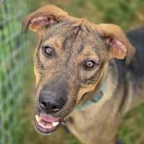 Thumbnail photo of Jamie #1